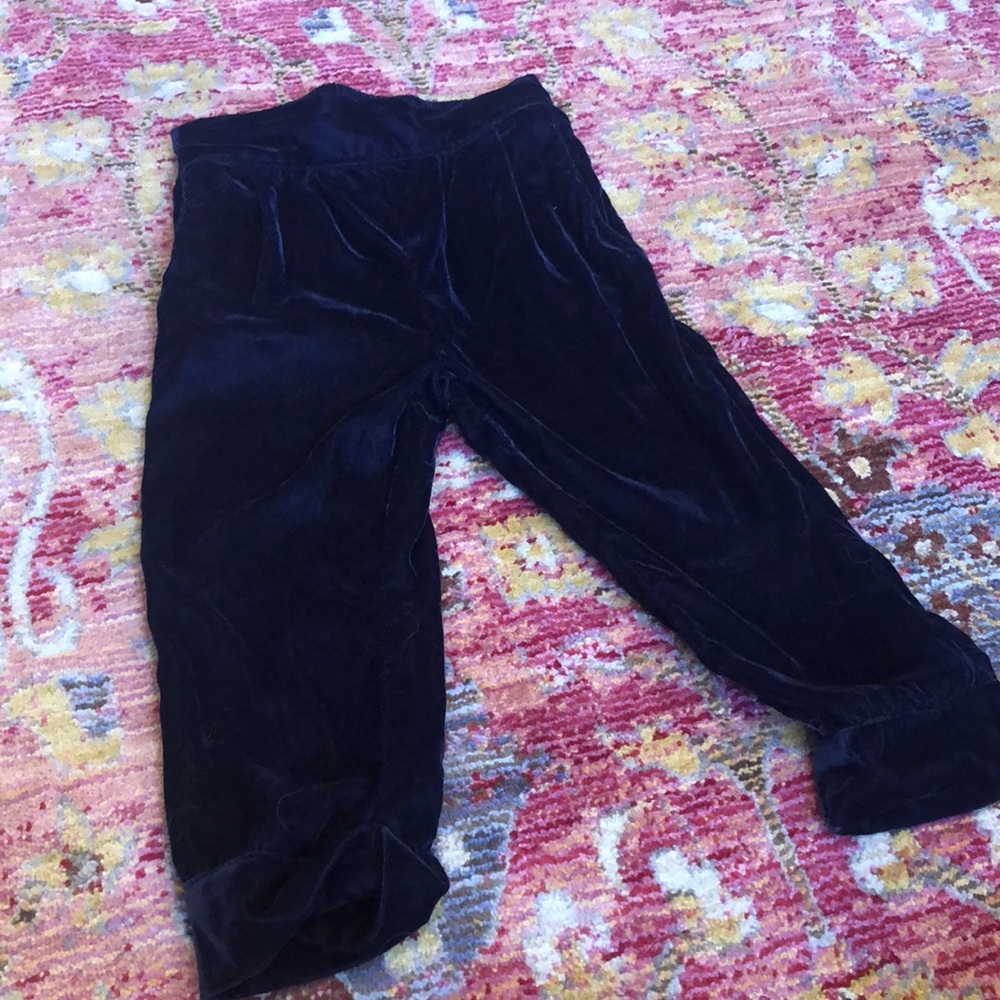 Navy velvet pants, pleated with pockets!